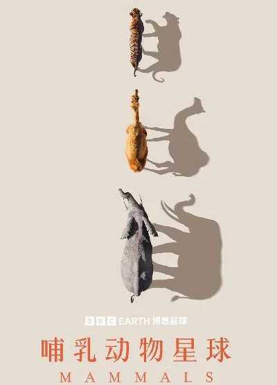 纪录片】哺乳动物星球 2024 动物纪录片 国英双语配音 4K高清中字 全6集链接：