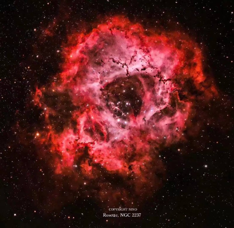 三月十四日的玫瑰星雲，Rosette NGC 2237